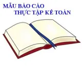 Báo cáo thực tập Kế toán Vốn Bằng Tiền tại Công Ty Trách Nhiệm Hữu Hạn Bách Việt